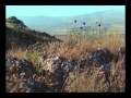 View 13:1-17