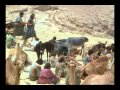 View 32:1-32