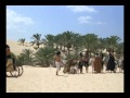View 44:1-33