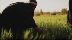 View Matthew 13:1-30 - Parable of the seeds  [bzj]