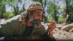 View Matthew 13:44-58 - Parable of the hidden treasure  [bzj]